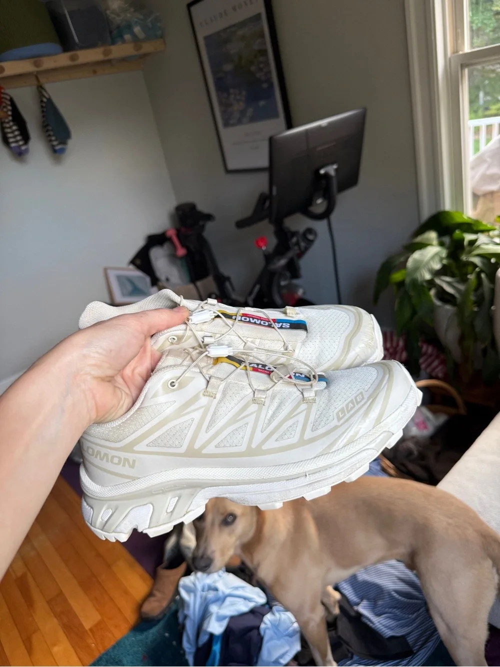 Salomon lightweight bright